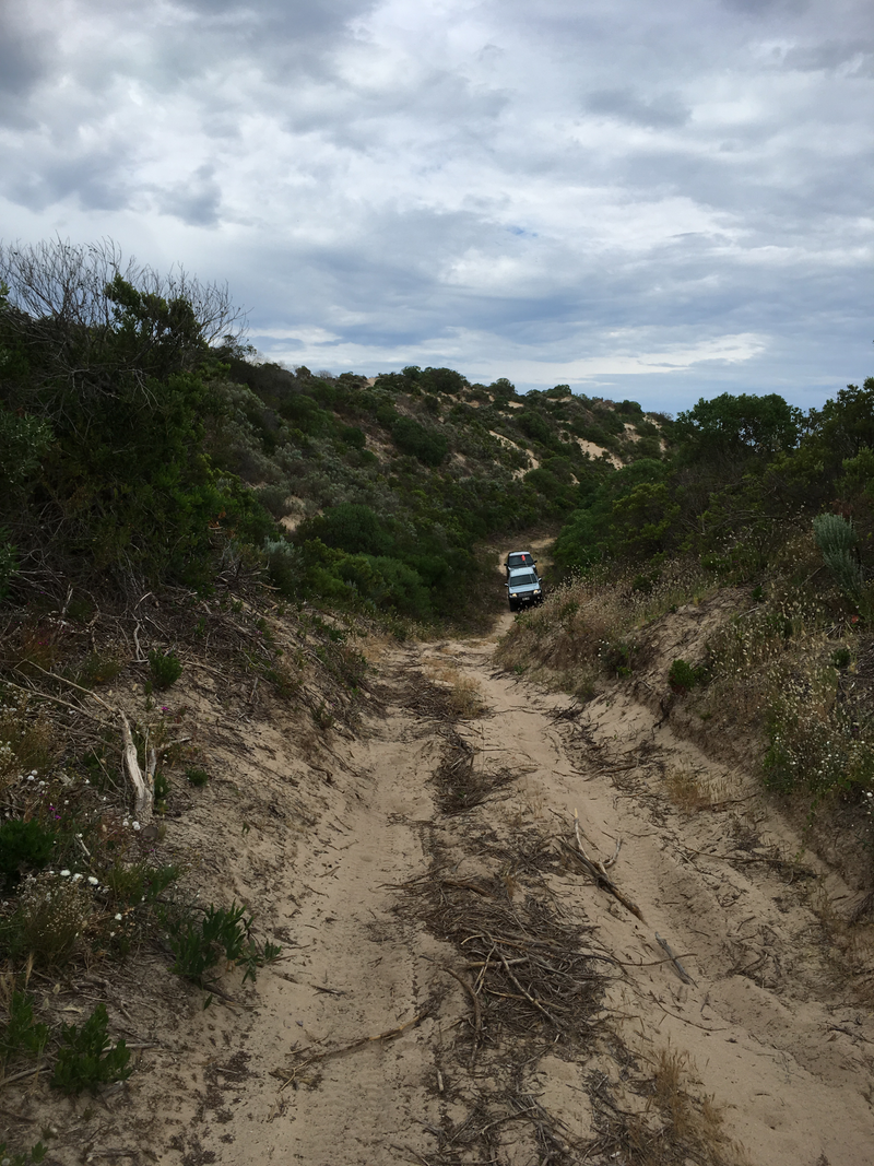 Illustration for article titled Return to the Coorong & Legend of the Lakes